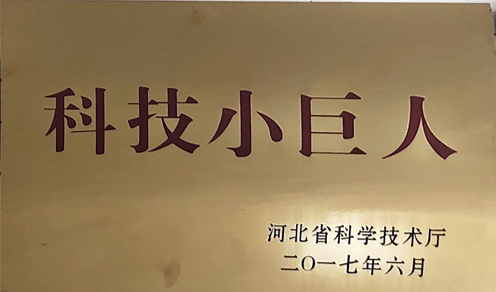 資質證書